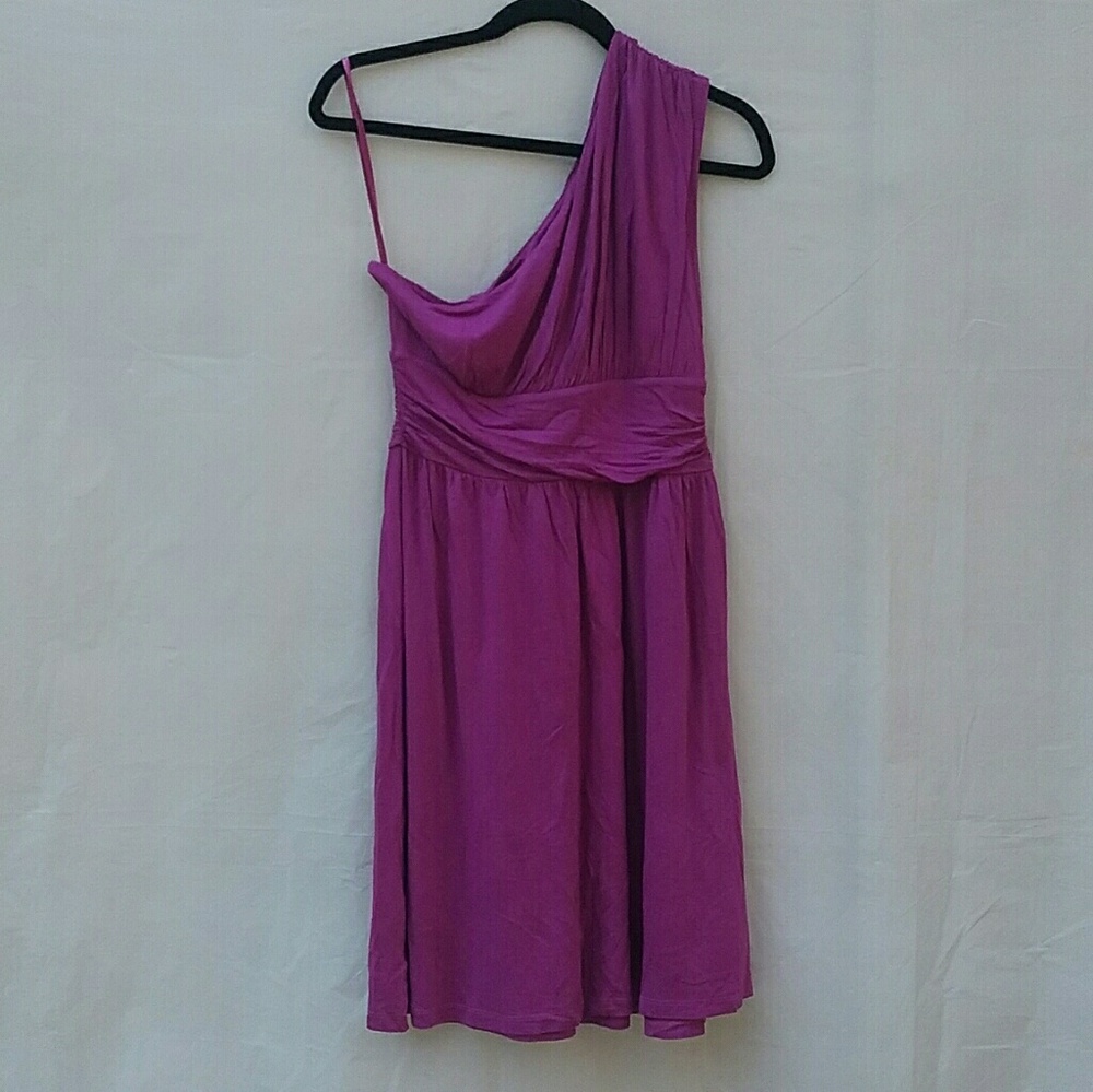 EUC Loft dress